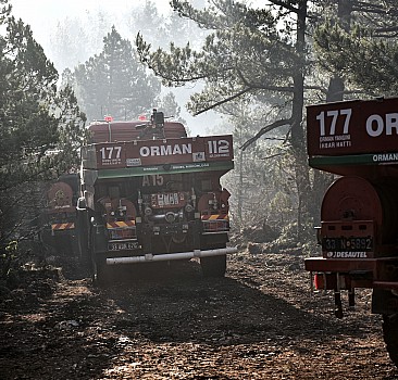 Mersin'de dün çıkan orman yangınına müdahale ediliyor