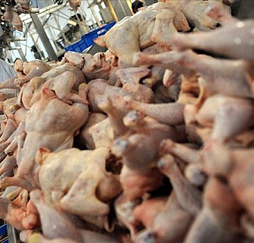 Tavuk eti üretimi nisanda yıllık bazda yüzde 9,4 azaldı