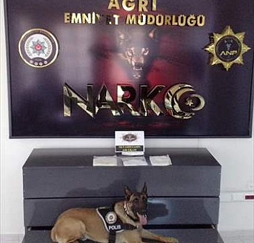 Narkotik köpeği Alfa, ticari taksideki uyuşturucuyu yakalattı