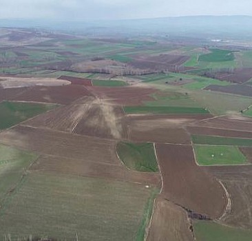 Çukurova'da yağışlar azalıyor, çiftçi iklimle mücadele ediyor