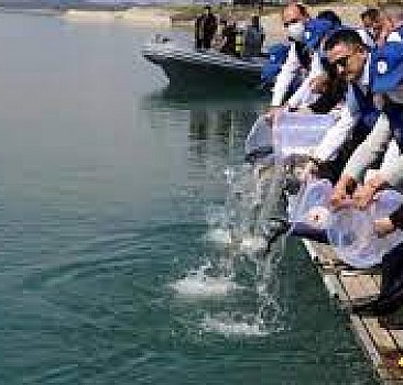 Bakan Pakdemirli, Seyhan Baraj Gölü'ne balık bıraktı