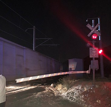 Kahramanmaraş'ta trene çarpan kamyonetin sürücüsü yaralandı