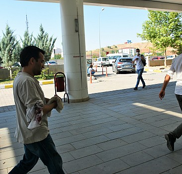 İç Anadolu'da "acemi kasaplar" hastanelik oldu
