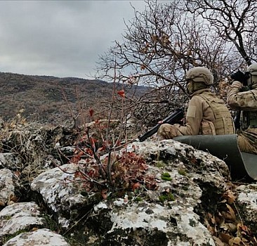 Van'da jandarmanın ikna çalışmaları sonucu PKK'lı bir terörist teslim oldu