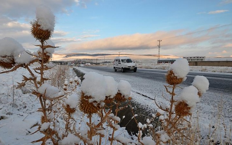 Kars'ın Sarıkamış ilçesinde kar etkili oldu