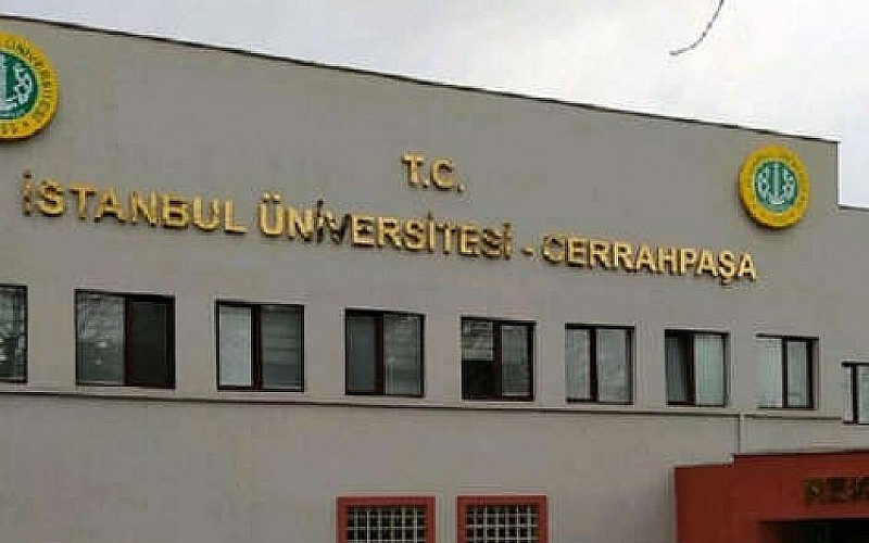 İstanbul Üniversitesi Cerrahpaşa Rektörlüğü 2 sözleşmeli bilişim personeli alacak