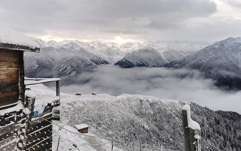 Rize ve Ardahan'da kar yağışı etkili oldu