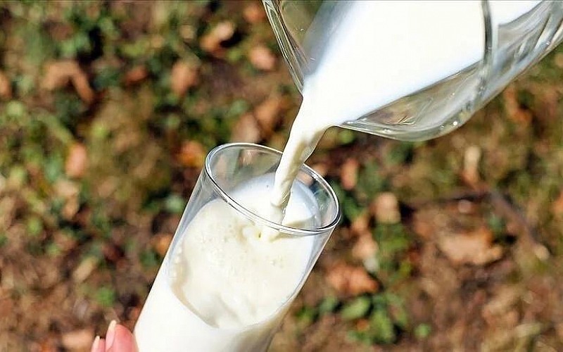 Dünya genelinde 928 milyon ton süt üretiliyor