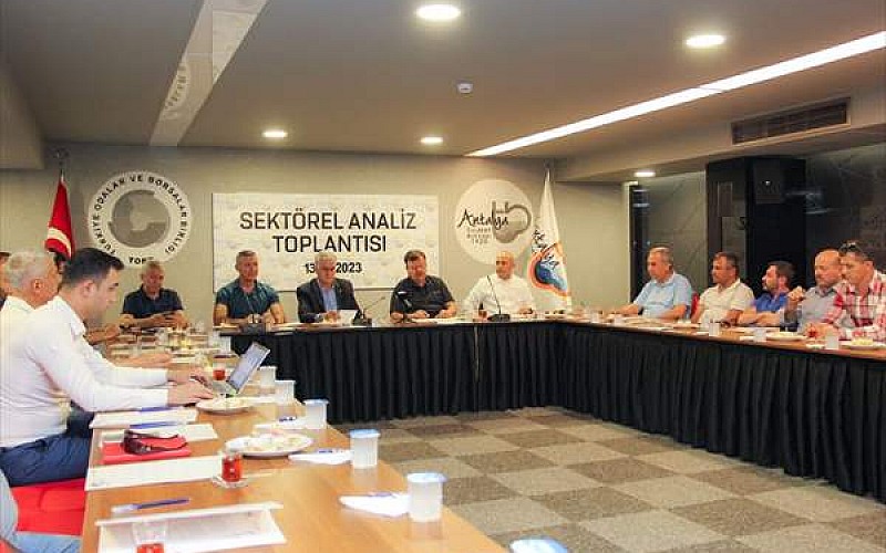 Antalya'da Zeytin ve Zeytinyağı Sektörel Analiz Toplantısı yapıldı