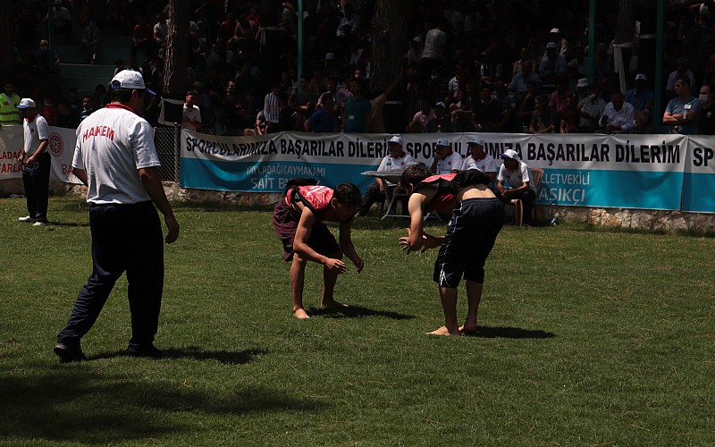 Aba Güreşi Türkiye Şampiyonası'nın başpehlivanı Barış Güngör oldu