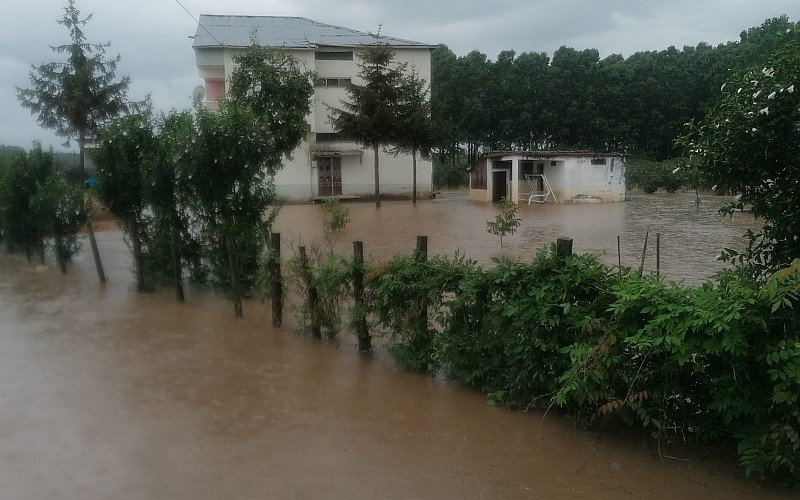 Samsun'da sağanak yağış nedeniyle derelerin su debisi yükseldi