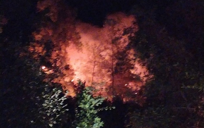 Muğla'nın Ula ilçesindeki ormanlık  ve zeytinlik alanda yangın çıktı