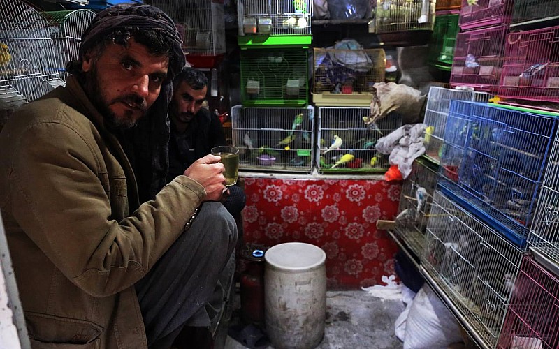 Afganistan'da ekonomik kriz kuş pazarını da vurdu