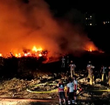 Bakırköy'de ağaçlık alanda çıkan yangın söndürüldü