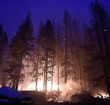 California'daki yangında yok olan ormanlık alan 200 bin hektara yaklaştı