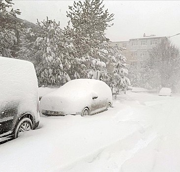 Ardahan'da kar ve tipi hayatı olumsuz etkiliyor