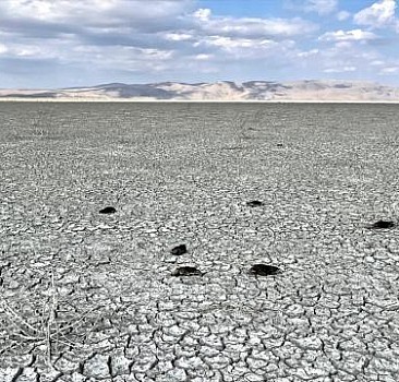 Kuruyan Akşehir Gölü'nde çok sayıda ölü yaban ördeği bulundu