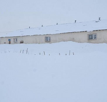 Hakkari'de zorlu kış: Evler kardan kayboldu
