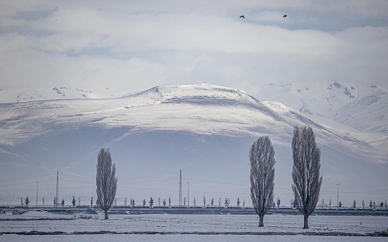 Erzurum, Ardahan, Ağrı ve Kars'ta soğuk hava hakim