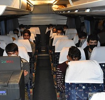 Otobüste 25 kaçak göçmen yakalandı