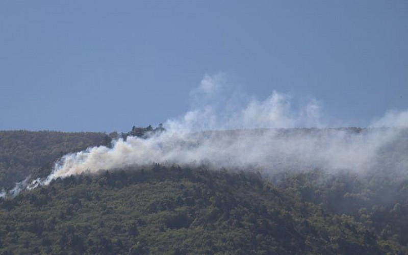 Bursa'da, Uludağ eteklerinde çıkan orman yangını kontrol altına alındı