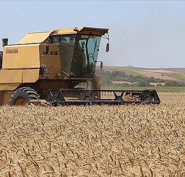 Edirne'de buğday rekoltesinin yüksek olması bekleniyor