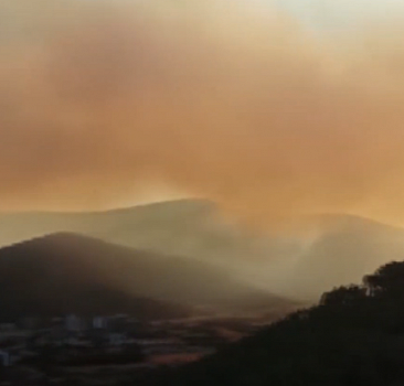 Mersin'de orman yangını yerleşim yerlerini tehdit ediyor