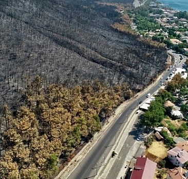 Marmaris'te yangından zarar gören alanlar havadan görüntülendi