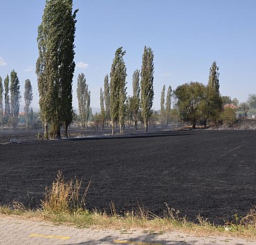 Uşak'ta çıkan yangında tarım arazileri zarar gördü
