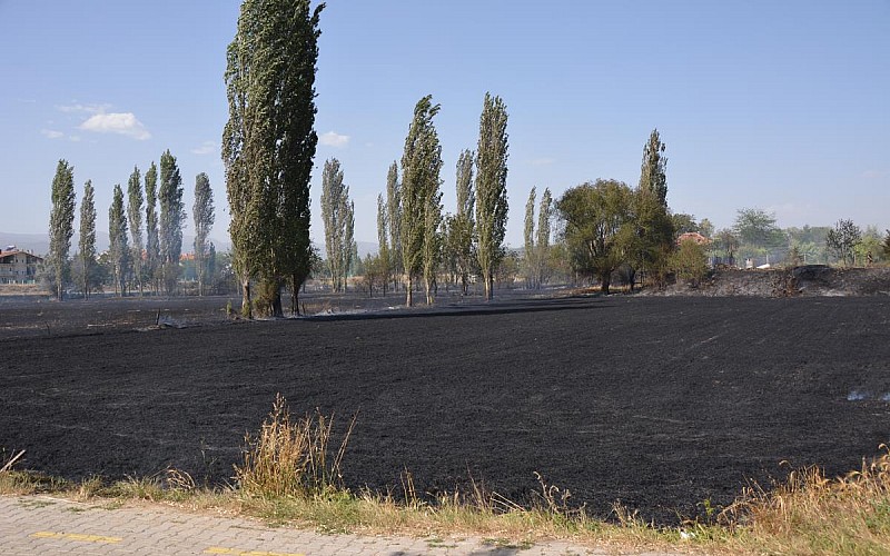 Uşak'ta çıkan yangında tarım arazileri zarar gördü