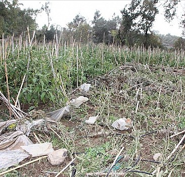 Antalya'daki su taşkınlarında 96 üreticinin arazisinde hasar tespiti yapıldı
