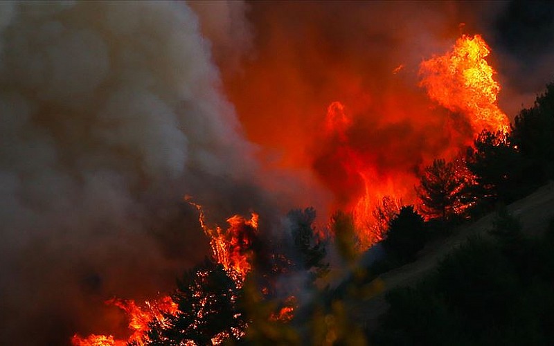 İtalya'da da orman yanıyor