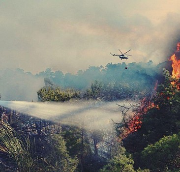 Orman yangınlarının yüzde 89'u insan kaynaklı