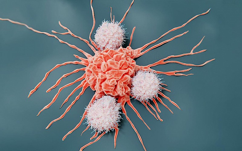 Kemoterapiye alternatif kanser tedavisi bulundu