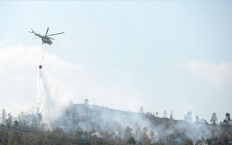 Türkiye ve Azerbaycan orman yangınlarına karşı iş birliği yapacak