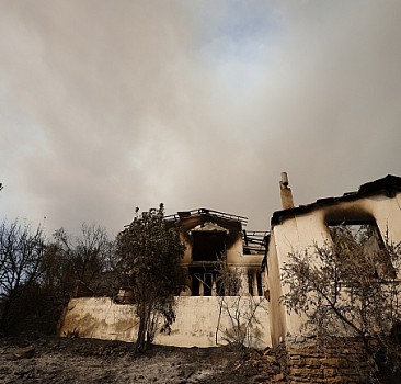 Manavgat'taki orman yangınında hayatını kaybeden Alman kadının kardeşi DNA örneği verdi