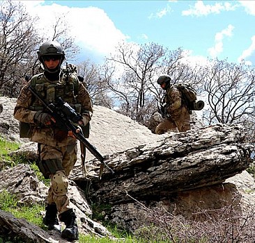 Batman'da 2 PKK'lı terörist imha edildi