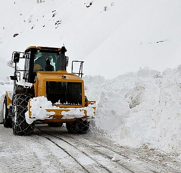 Kar nedeniyle 4 gündür kapalı olan Ardahan-Artvin kara yolu açıldı