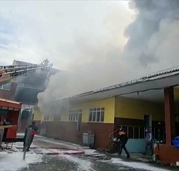 Artvin'de çay fabrikasında çıkan yangını söndürme çalışmaları sürüyor