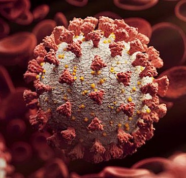 Mutasyon koronavirüs tehlikesini ne yönde etkileyecek?