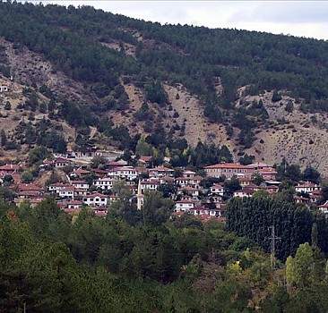 Türkiye'nin en az nüfuslu ilçesinde 476 kişi yaşıyor
