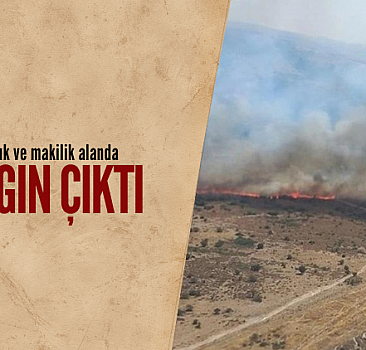 İzmir'de otluk ve makilik alanda yangın çıktı