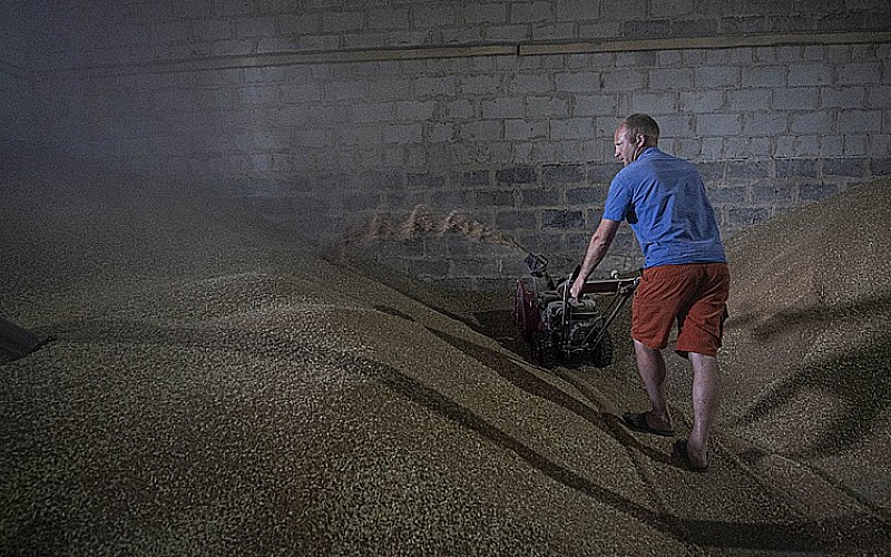 Ukraynalı çiftçiler buğday satmakta zorlanıyor