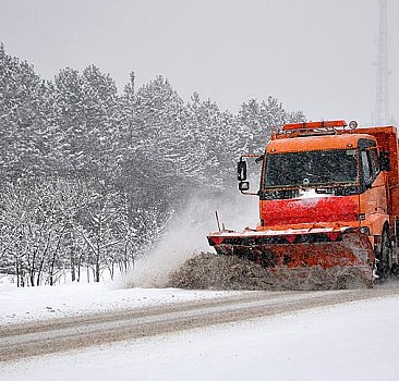 Bingöl ve Siirt'te kar nedeniyle 175 köy yolu ulaşıma kapandı