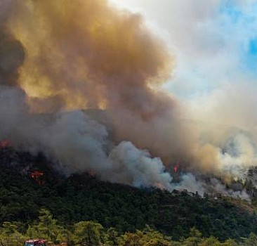 Bakan Kirişci'den Marmaris yangını açıklaması