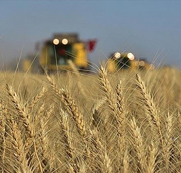 Türkiye, bölgesinde tarım sektöründe stratejik ortak olarak görülüyor