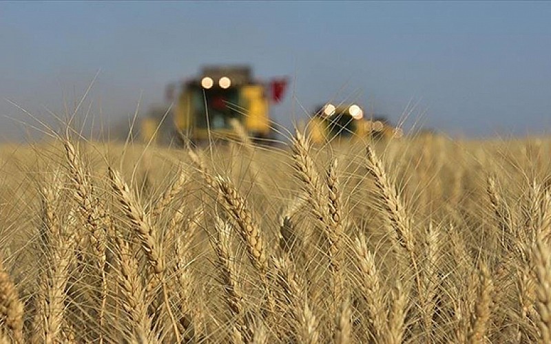 Türkiye, bölgesinde tarım sektöründe stratejik ortak olarak görülüyor