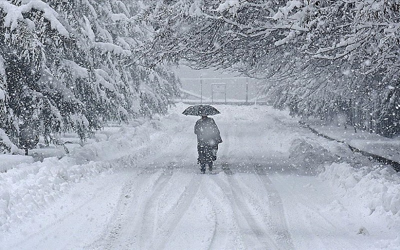 Japonya'da yoğun kar yağışı hava ve demir yolu trafiğini aksattı