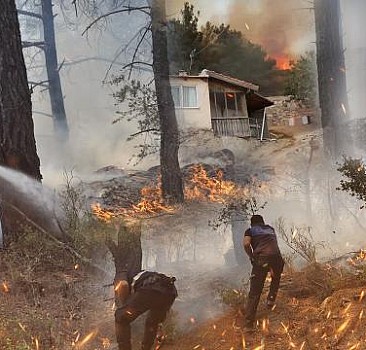 Muğla'da orman yangını: Alevler evlere yöneldi