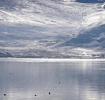 Ağrı, Ardahan ve Kars'ta soğuk hava etkili oluyor